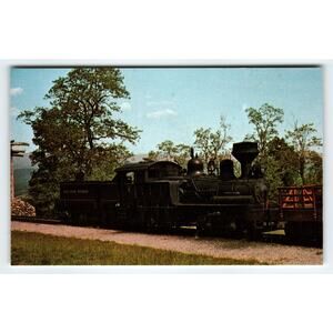 Cass Scenic Railroad Shay #5 Steam Locomotive Vintage Photochrome Postcard